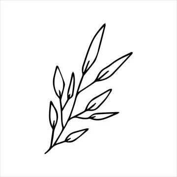 Cute doodle style twig Stock Illustration