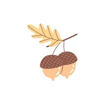 Cute Double Acorn with Oak Leaf Hand Drawn Autumn Forest Vector Illustration on Stock Illustration