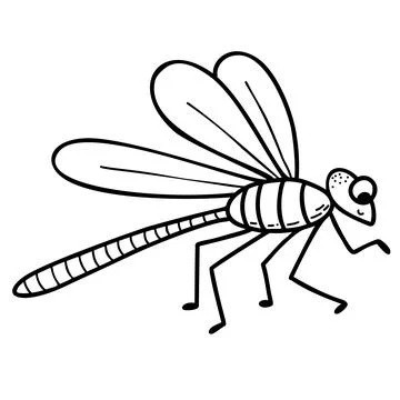 Cute dragonfly. Winged Insect. Linear hand drawing. Vector illustration. Char Stock Illustration