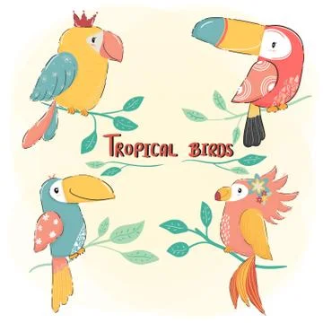 Cute drawing flat vector tropical bird set, colorful summer Stockillustratie
