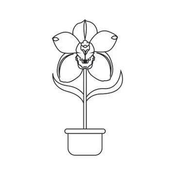 Cute drawing plant Stock Illustration