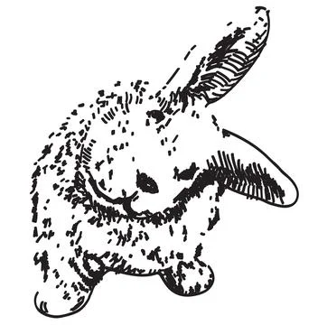 Cute drawn to easter bunny on a white background, isolate, vector 스톡 일러스트