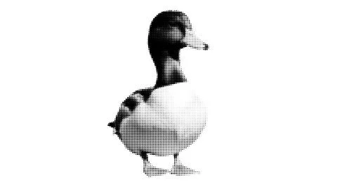 Cute Duck Collage Isolated Background. Isolated yellow animal set with grunge 库存插图