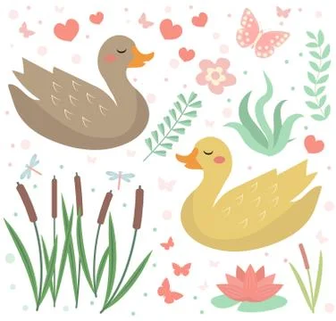 Cute duck set objects. Collection design elements with reeds, water lily Stock Illustration