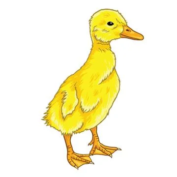 Cute Duckling Cartoon Vector Illustrazione stock