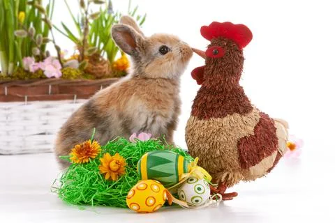 Cute dwarf rabbit with Easter motif on a white background. Stock Photos