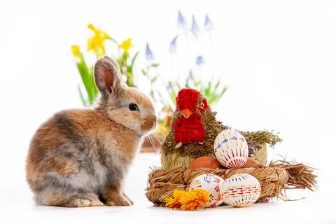 Cute dwarf rabbit with Easter motif on a white background. Stock Photos