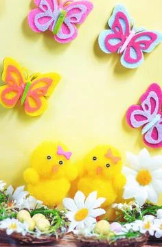 Cute Easte theme. Spring Easter chicks with Easter eggs. Stock Photos