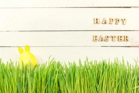 Cute Easter Bunny in the green fresh country. Yellow Easter egg. Happy Easter Stock Photos