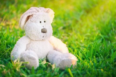 Cute Easter bunny Stockfoto's