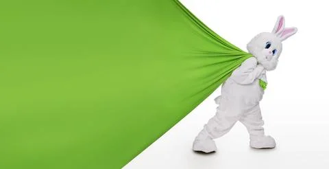 Cute easter bunny pulling huge gift bag or empty banner with copy space Stock Photos