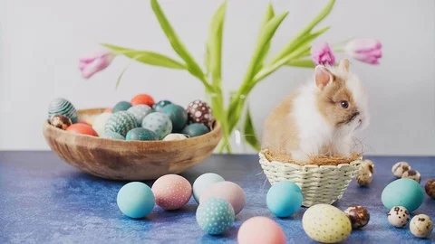 Cute Easter bunny on table with colorful eggs and tulips. Easter holiday deco Video stock 124380886