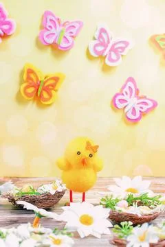 Cute easter chick with nests full of eggs Stock Photos