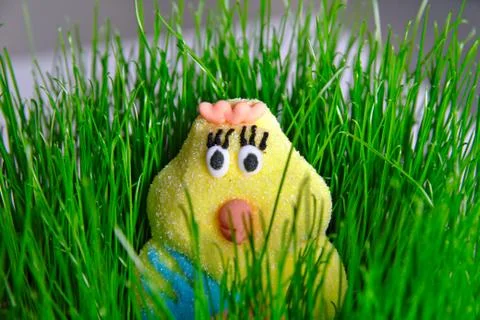 Cute Easter chick Stock Photos