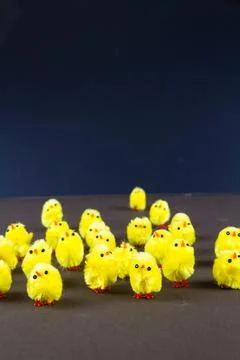 Cute Easter chick toys on dark background. Stock Photos