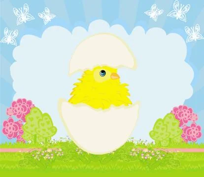 Cute Easter chicken in egg shell Stock Illustration