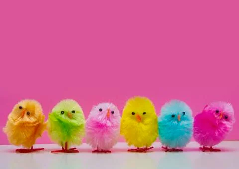 Cute easter chicks Stock Photos