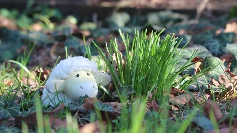 Cute Easter lamb decoration in spring grass, hidden children toy, hide and seek Stockbeeldmateriaal 305932176