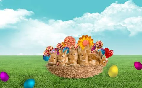 Cute easter rabbits sitting in basket with sweets Stock Illustration