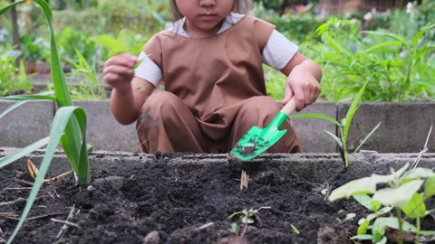 Cute elder sister held a small tree in hand and gave it to her sister in garden. Stock Footage 171212978