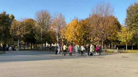 Cute Elderly Group Exercising in Volksgarten, Vienna 動画素材 167429327