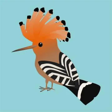 Cute Eurasian hoopoe Illustrazione stock