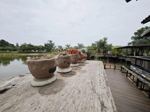 Cute Face Clay Pots with Cactus on Wooden Bar by Pond Backdrop. Stock-Fotos