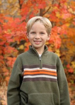 Cute fall boy Stock Photos