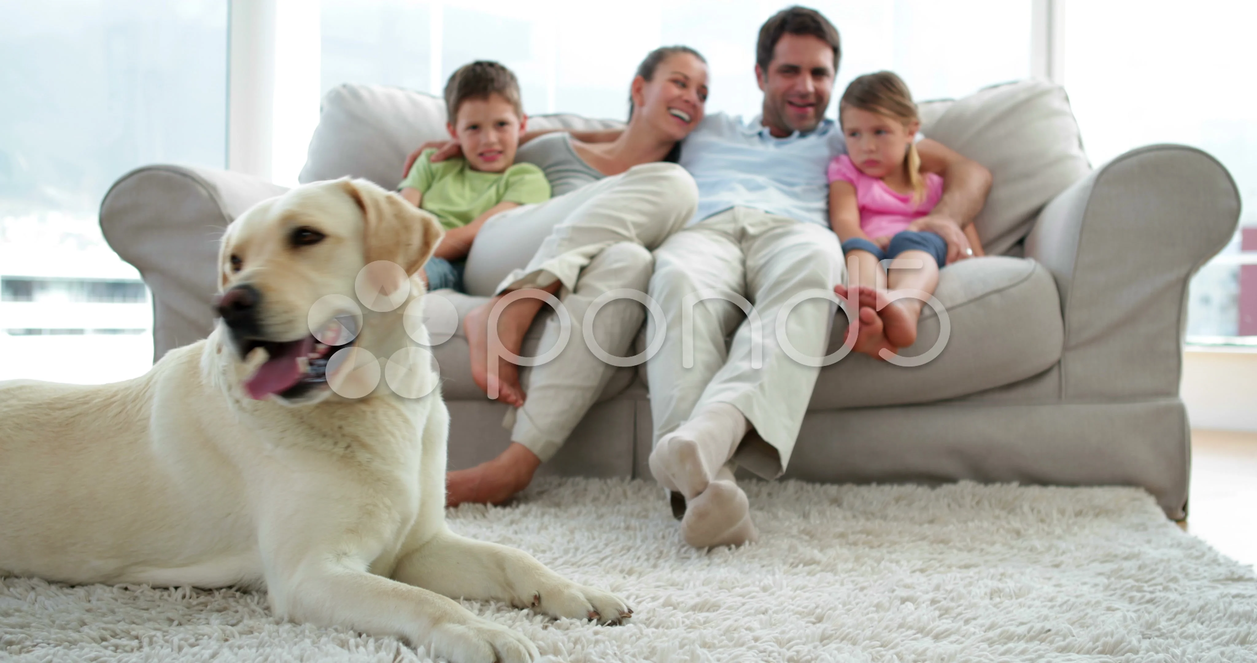 The petting room. Собаки для семьи с детьми. Семья с собакой. Собака для семьи с детьми в квартиру. Семья на диване с собакой.