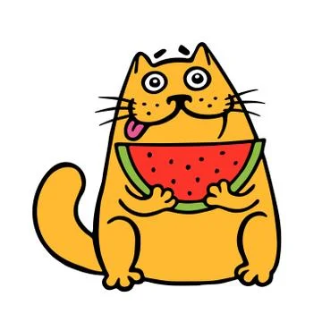 Cute fat cat eats watermelon. cat. Isolated vector illustration. Stock Illustration