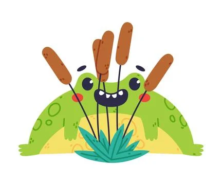 Cute Fat Green Frog or Toad Character Hiding Behind Reeds Vector Illustration Stockillustratie