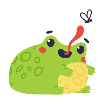 Cute Fat Green Frog or Toad Character Catching Fly with Long Tongue Vector Stockillustratie