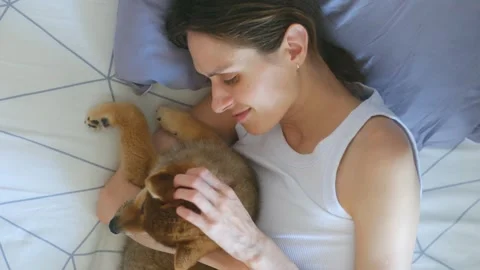 A cute female lying in bed with her young pet at home. Video stock 268419282