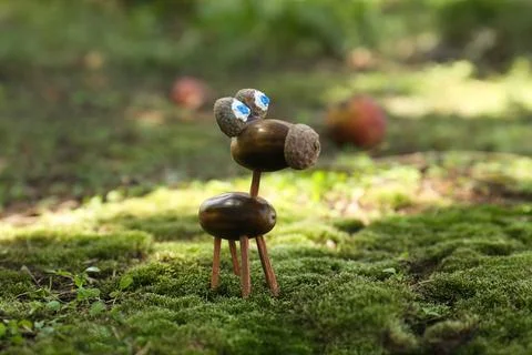 Cute figure made of acorns on green moss outdoors, Stock Photos