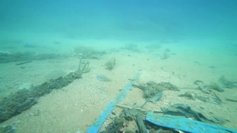 Cute Fish is Looking For Food inside Ocean Garbages Stock Footage 143412086