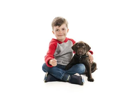 Cute five year old boy studio portrait on white background with his Labrador Stock-Fotos