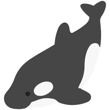 Cute flat color Killer Whale Stock Illustration