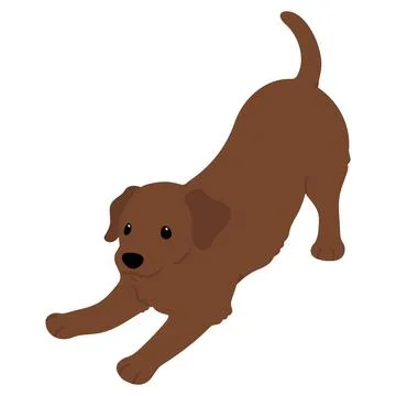 Cute flat colored illustration of brown Labrador Retriever being playful Stock Illustration