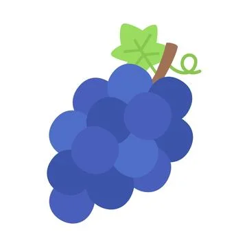 Cute flat design dark blue grape bunch with green vine leaf Illustrazione stock