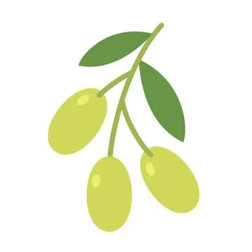 Cute flat design green olive branch with leaves and fruits Illustrazione stock