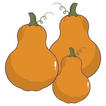 Cute flat vectors pumpkins with green leaves and curly vines Illustration
