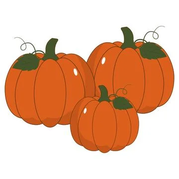 Cute flat vectors pumpkins with green leaves and curly vines Illustration