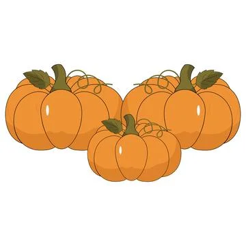 Cute flat vectors pumpkins with green leaves and curly vines Illustration