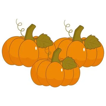 Cute flat vectors pumpkins with green leaves and curly vines Illustration