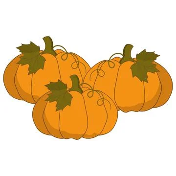 Cute flat vectors pumpkins with green leaves and curly vines Illustration