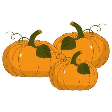 Cute flat vectors pumpkins with green leaves and curly vines Illustration