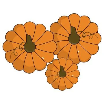 Cute flat vectors pumpkins with green leaves and curly vines Illustration