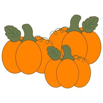 Cute flat vectors pumpkins with green leaves and curly vines Illustration