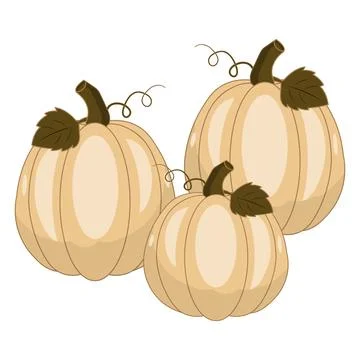 Cute flat vectors pumpkins with green leaves and curly vines Illustration