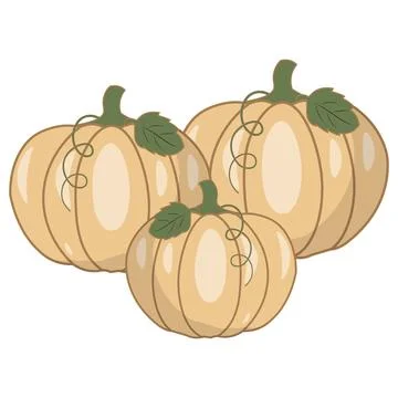 Cute flat vectors pumpkins with green leaves and curly vines Illustration